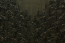 QO1A8819