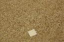 QO1A8842