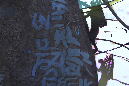 QO1A8285