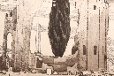 QO1A8028