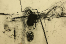 QO1A8216