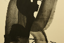 QO1A8227