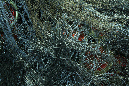 QO1A9322