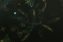 QO1A9736