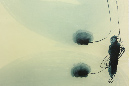 QO1B0002