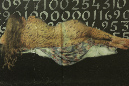QO1A0047