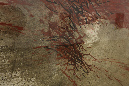 QO1A1067